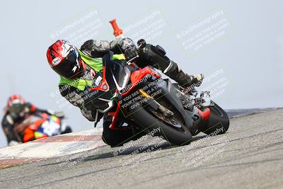 media/Feb-21-2025-Lets Ride (Fri) [[f483f33afd]]/Race Group/11am (Outside Grapevine)/